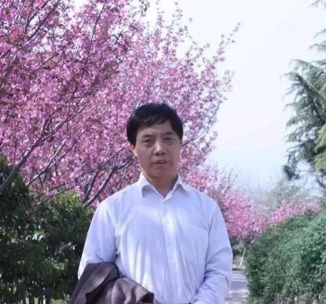 可爱的家乡的作文300字,可爱的家乡的作文600字