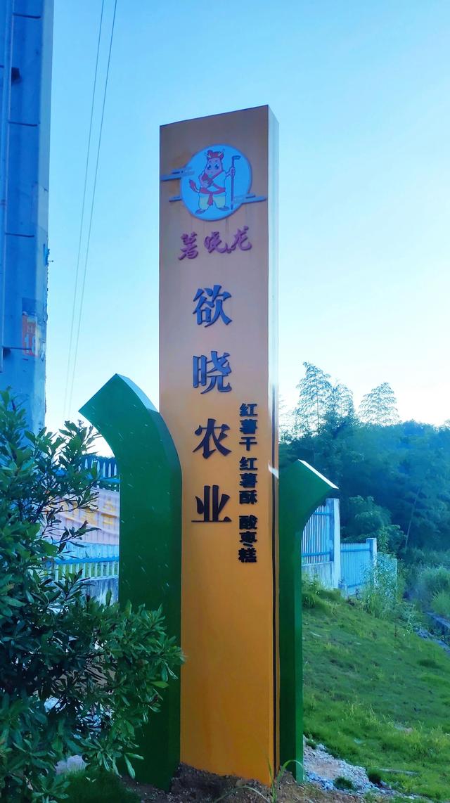 初中暑假周记素材(好的周记素材)