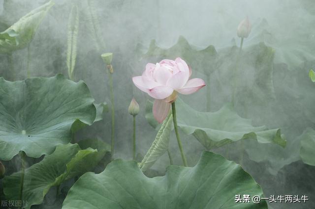 一个有着女孩名字的男人,告别了微信群
