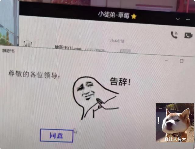 辞职原因怎么写简短实用,辞职原因怎么写简短实用一点!
